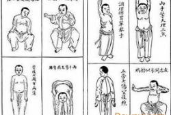 八段锦视频教学口令全套,轻松养生，健康生活新体验