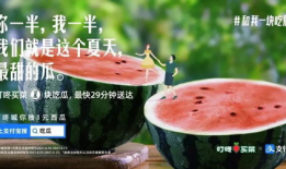爆料吃瓜文案哪里找,吃瓜文案背后的秘密与技巧
