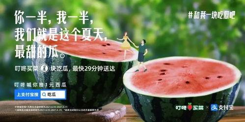 娱乐圈吃瓜合集文案图片,吃瓜合集图文解析